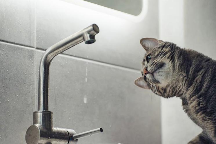 Жителі низки вулиць у Тернополі на місяць залишаться без гарячої води