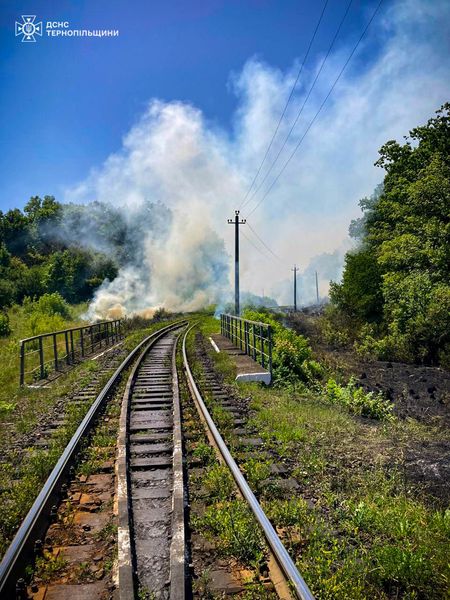 Вогонь міг перекинутися на колію: в Копичинцях палала суха трава