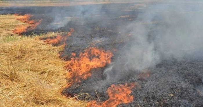У Туреччині спалювання стерні призвело до пожежі: відомо про 5 загиблих