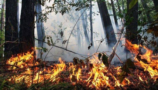 На Тернопільщині оголосили про пожежну небезпеку