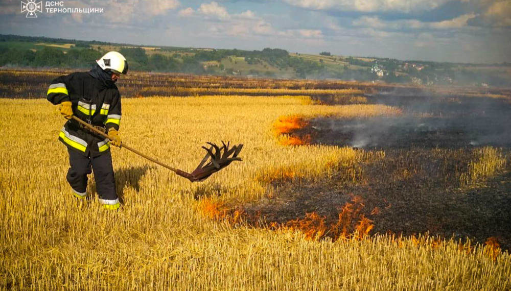Горіло 2,5 га: в Монастириській погасили масштабне займання сухої трави
