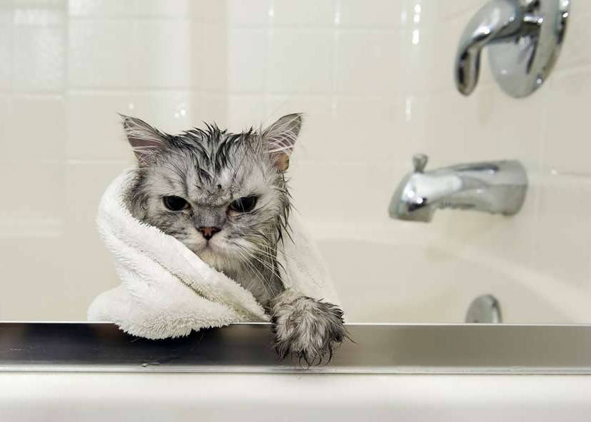 У низці будинків в Тернополі не буде гарячої води