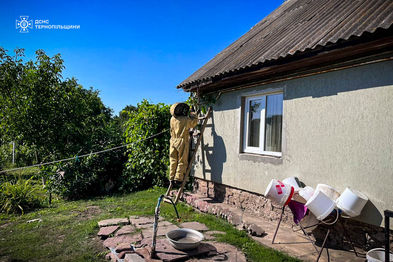 12 разів за добу: надзвичайники Тернопільщини рятують краян від небезпечних комах