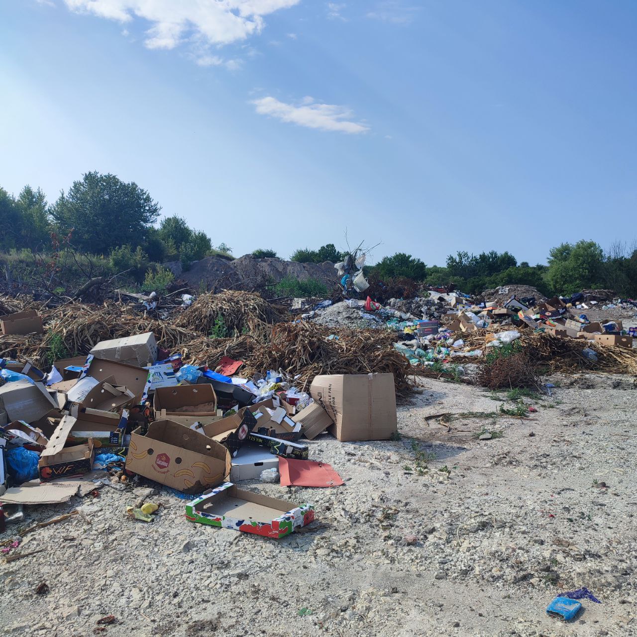Площею 10 тис. квадратних метрів: на Бережанщині виявили масові стихійні сміттєзвалища