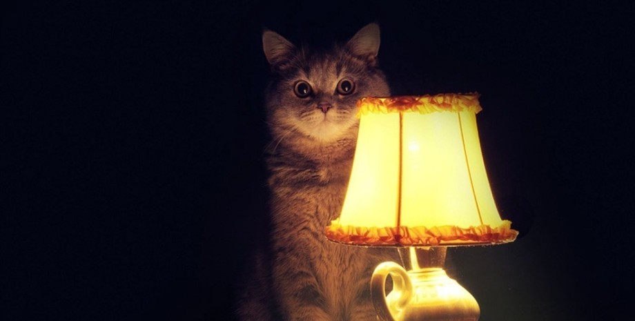 22 серпня на Тернопільщині світло не вимикатимуть