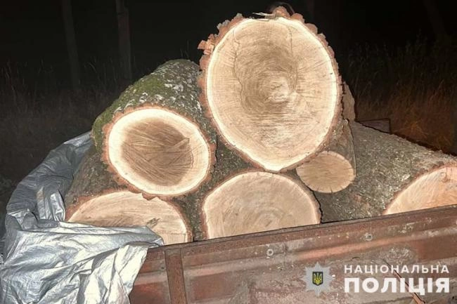 На Кременеччині зловили чоловіка, який незаконно спиляв дуби