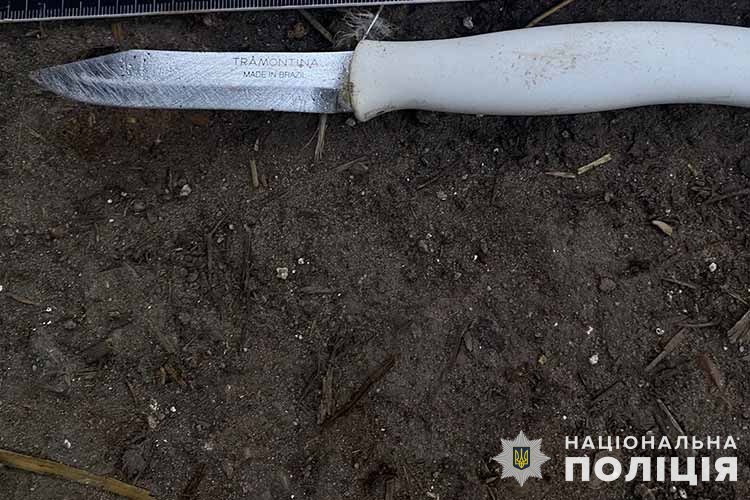 На Кременеччині дружина завдала ножової рани чоловікові: він помер