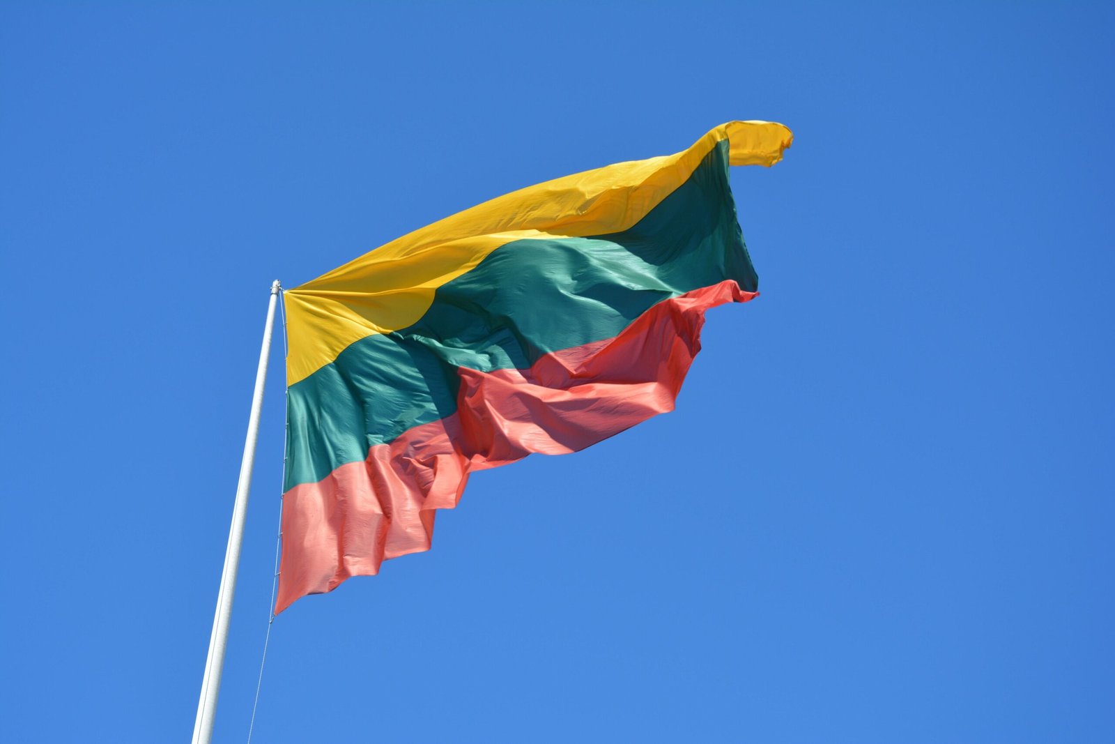 У Литві звільнили посадовицю, що приховала громадянство РФ, і забрали у неї паспорт
