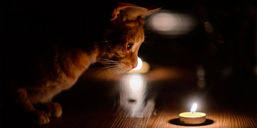 Вимикатимуть протягом усієї доби: графіки відключення світла на Тернопільщині