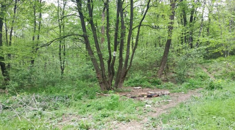 Тернопільські поліцейські допомогли дідусеві відшукати внука