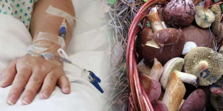 Одній із 8 дітей, які отруїлися грибами в Копичинцях, проведуть трансплантацію печінки