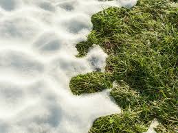 На Заході України очікується аномальне потепління