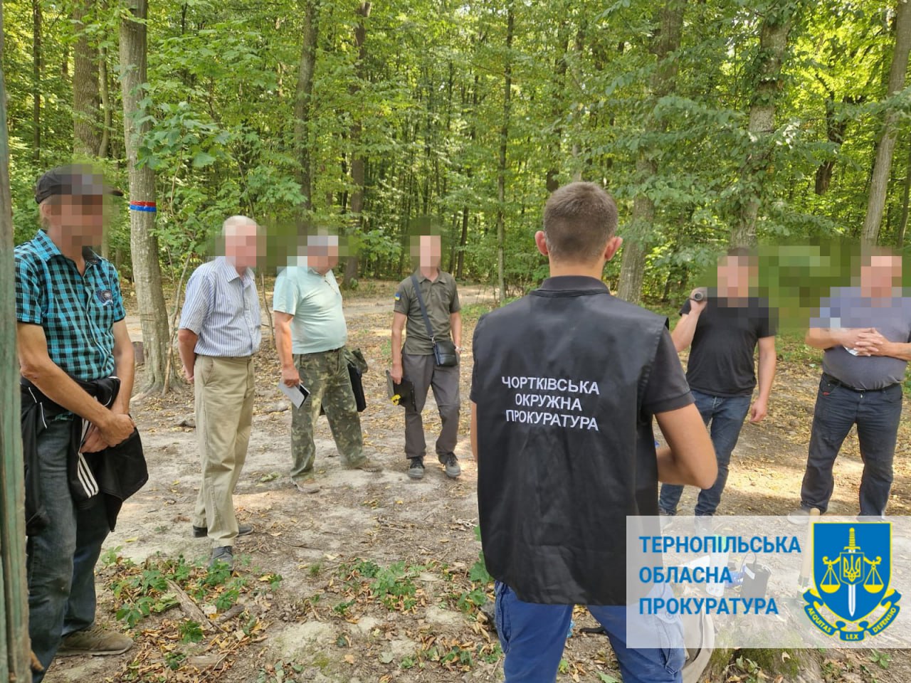 На Тернопільщині «чорні лісоруби» зрубали дерев майже на 1 млн гривень