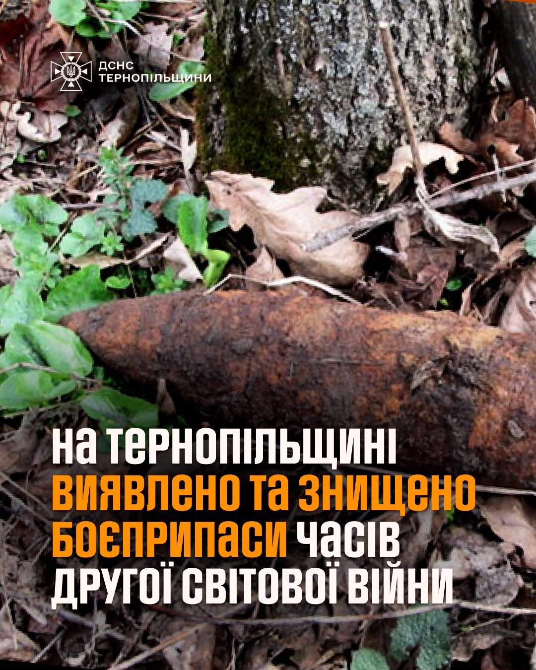На Тернопільщині знищили боєприпаси часів Другої світової