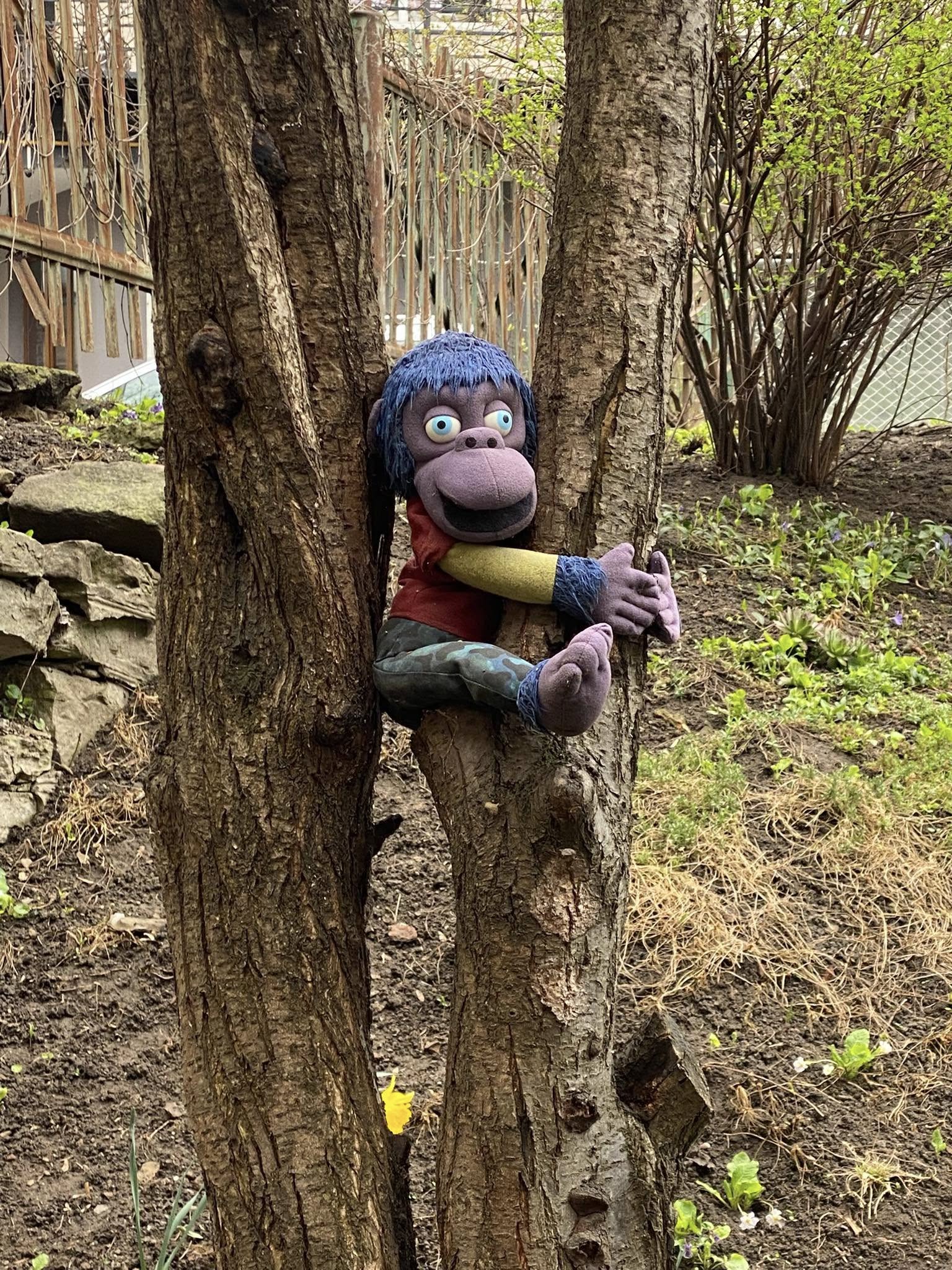 Іграшки у дворі: як мешканці Тернополя облаштували прибудинкову територію (фото)