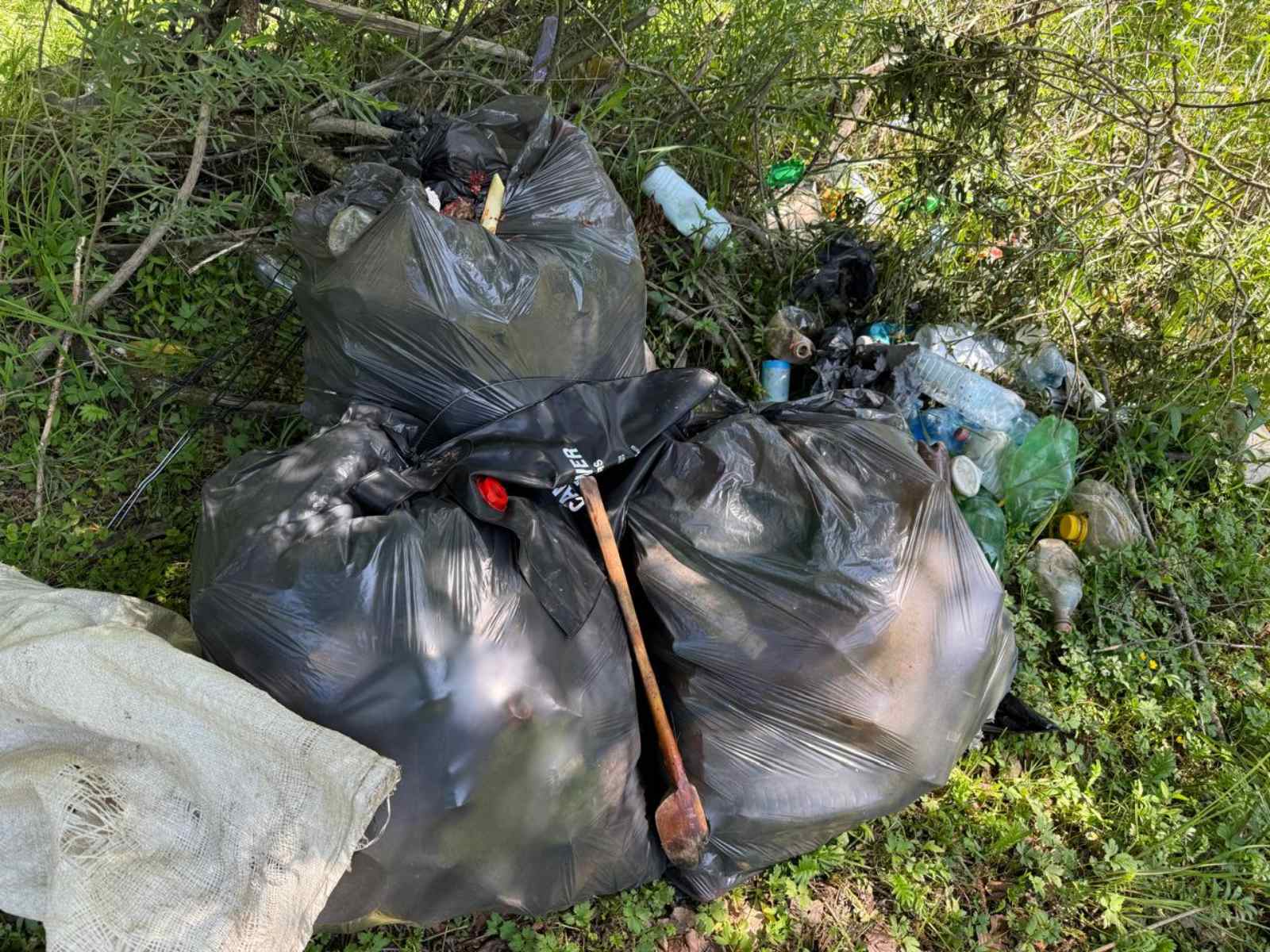 Підприємці з Хустщини засмітили урочище в НПП «Синевир» (фото)