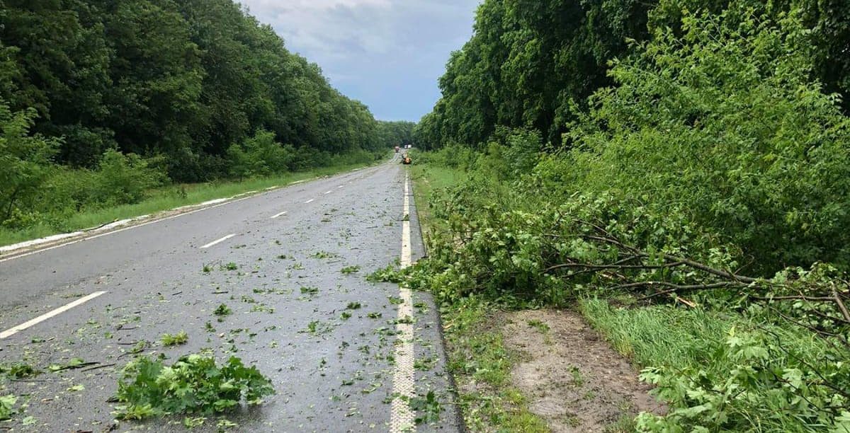 На Тернопільщині ліквідовують наслідки буревію: що відомо