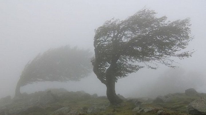На Тернопільщині через негоду без світла залишилися понад 10 тисяч жителів