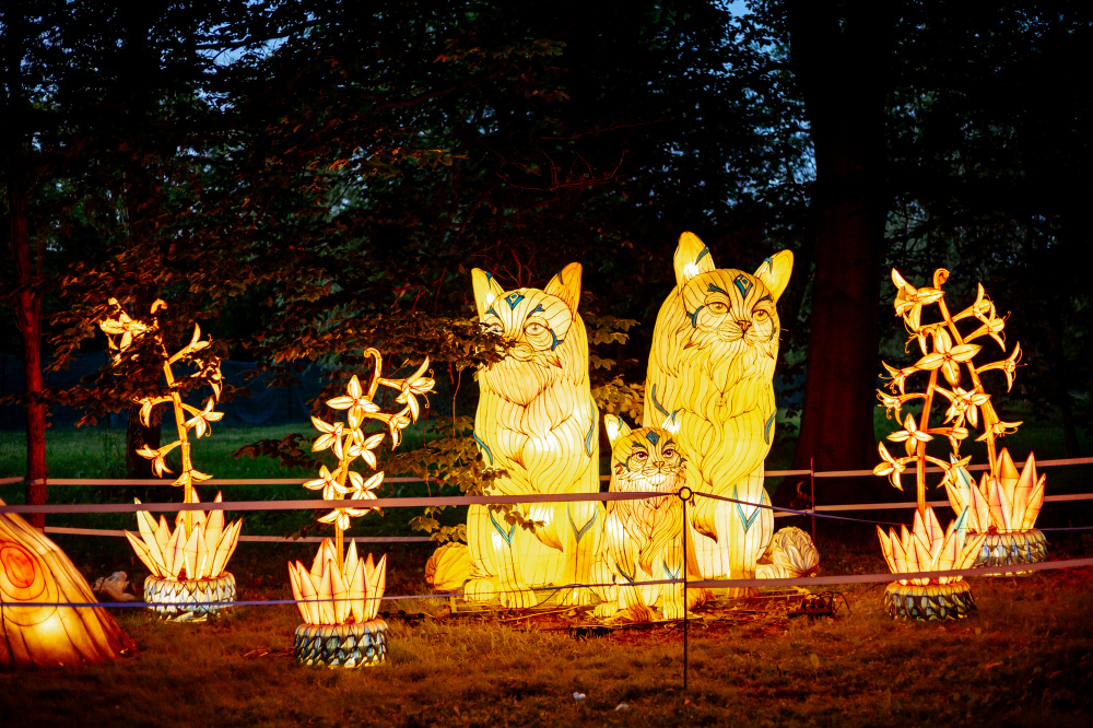 Виставка світлових фігур відкриється у Тернополі 15 серпня