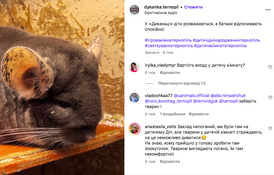 Тернополяни обурені станом тварин у ресторані «Диканька»