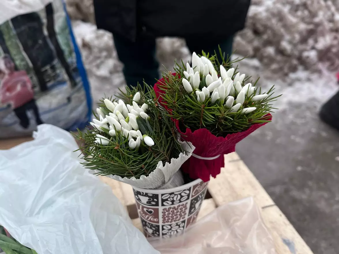Підсніжники по 70–80 гривень: де в Тернополі продають первоцвіти та які штрафи загрожують