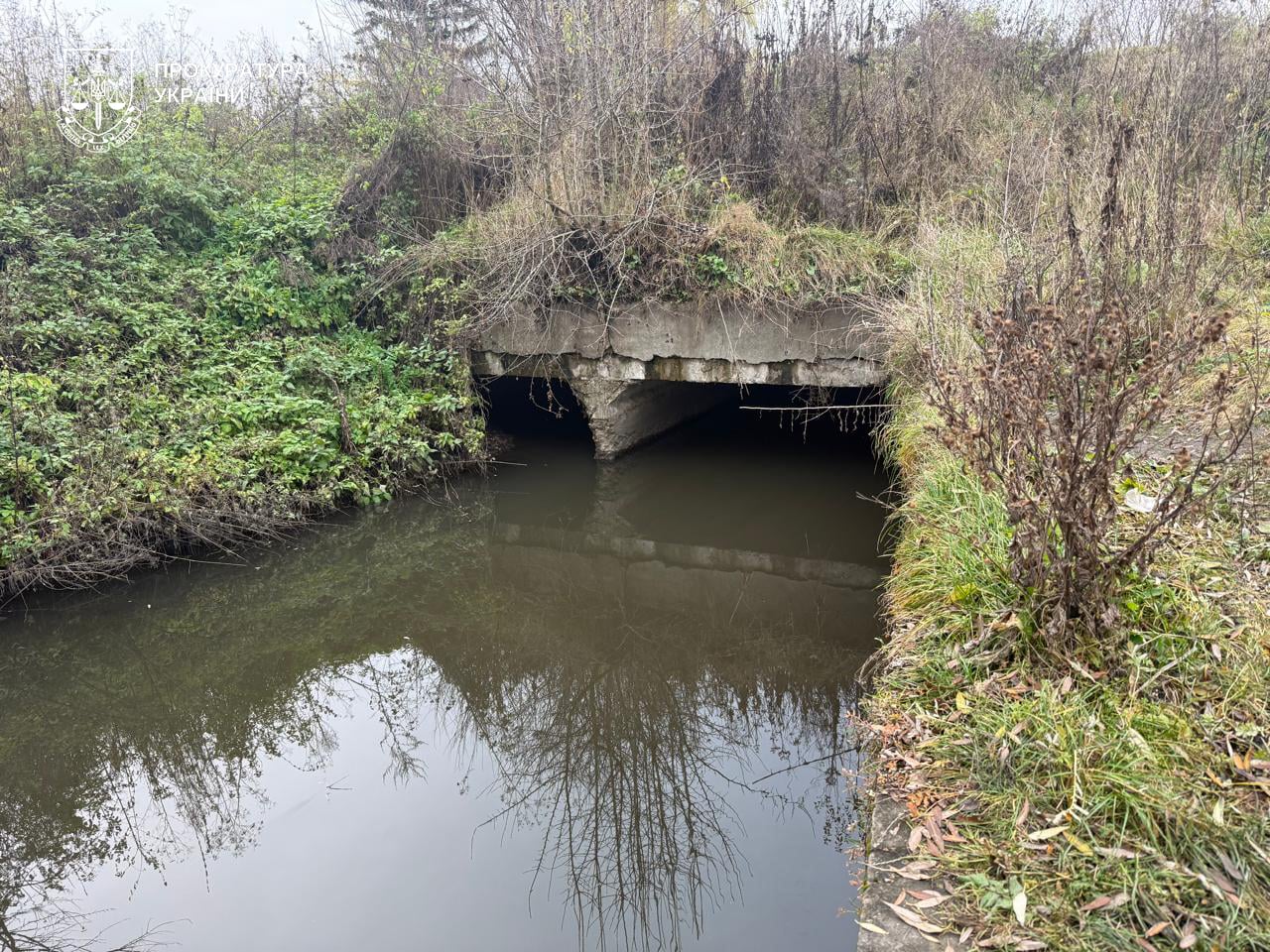 Народні ставки: на Зборівщині у власність держави повернули 14 гектарів водного фонду 