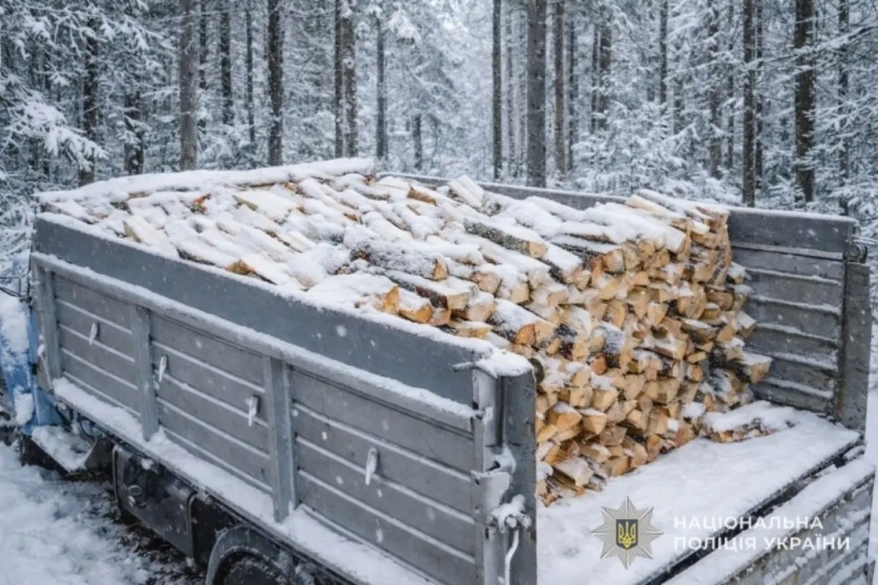 Передоплата за дрова обернулася збитками: жителька Чортківщини стала жертвою афериста