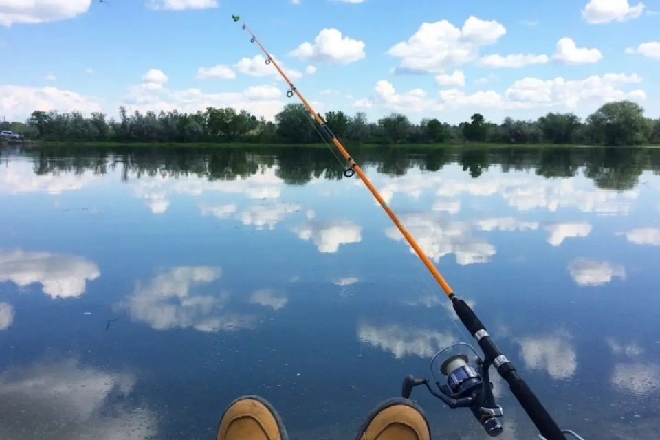 Заборона на вилов риби діятиме на Тернопільщині з 1 квітня