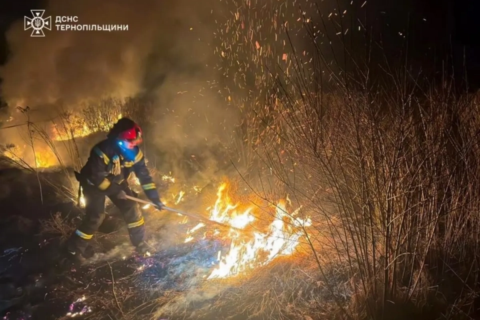 У Теребовлі вогонь охопив близько 2,5 гектара сухої трави